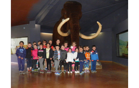 LES LUDO VELO au PREHISTO